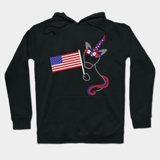 4th of July Unicorn and Usa flag Hoodie